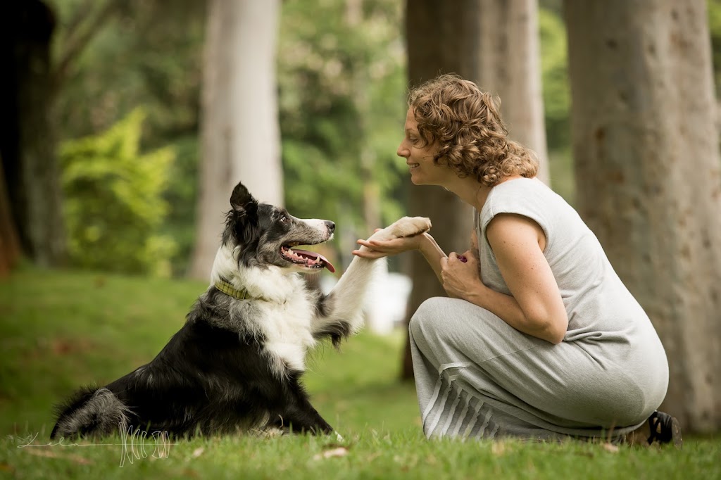 Dogs and Bonds - Professional Dog Trainer | 8B Kenlon St, Bentleigh East VIC 3165, Australia | Phone: 0468 044 646