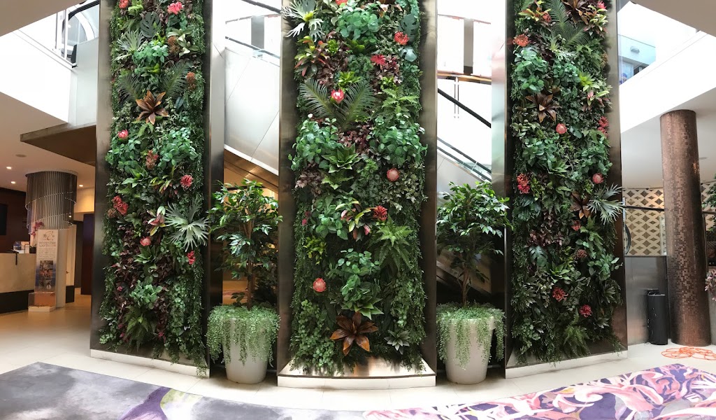Plantscaping Solutions | 10 Sara St, Toronto NSW 2283, Australia | Phone: 0448 349 906