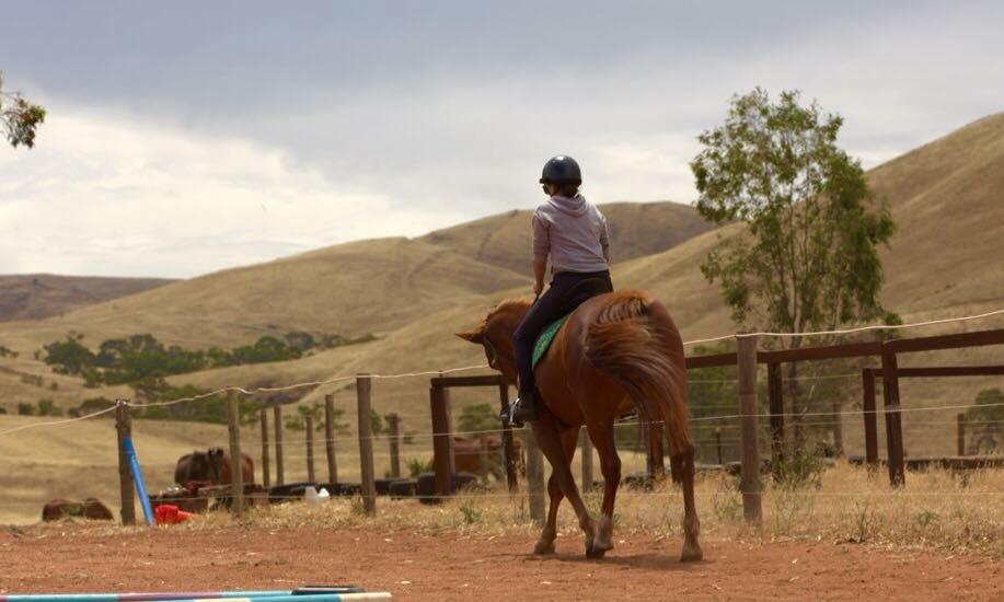 RUSTY’S RIDING RETREAT | 97 Three Chain Rd, Sanderston SA 5237, Australia | Phone: 0439 581 124