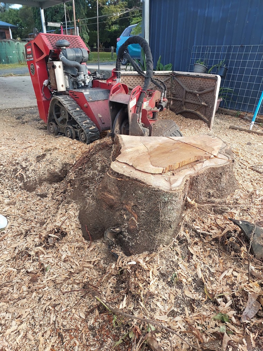 Axemen Stumpgrinding & Lawn Care | 37 McIntyre St, East Mackay QLD 4740, Australia | Phone: 0488 931 506