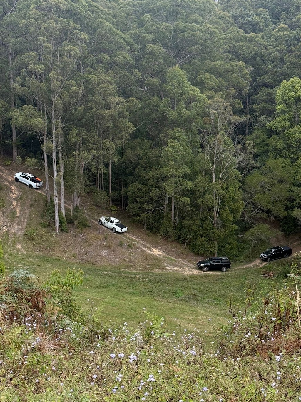 Crystal Creek Park | View Map, 530 Upper Crystal Creek Rd, Upper Crystal Creek NSW 2484, Australia | Phone: 1300 271 270
