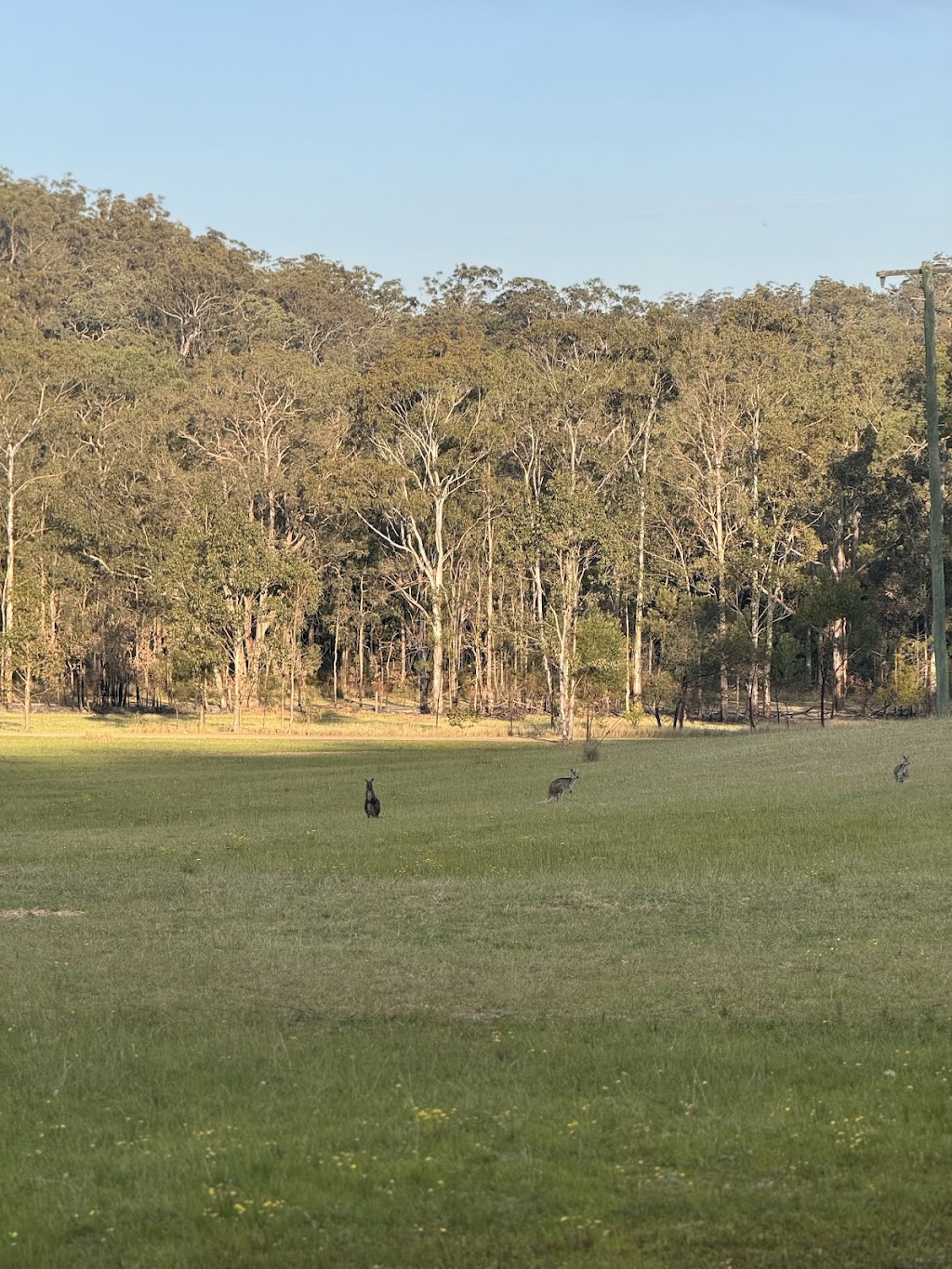 8478 putty road putty NSW | 8478 Putty Rd, Putty NSW 2330, Australia | Phone: 0421 687 259