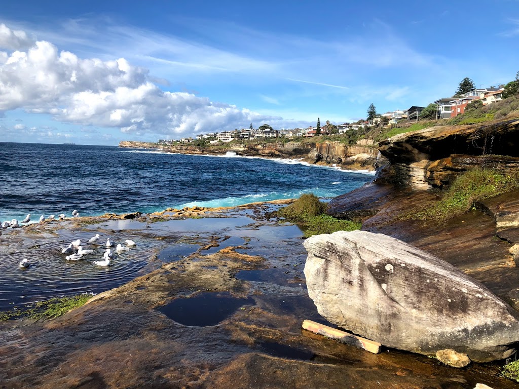 South Coogee Wetlands | park | South Coogee NSW 2034, Australia | 1300722542 OR +61 1300 722 542