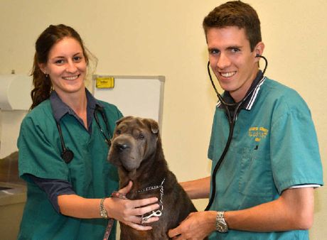 Tin Can Bay Veterinary Surgery | 67 Gympie Rd, Tin Can Bay QLD 4580, Australia | Phone: (07) 5486 4666