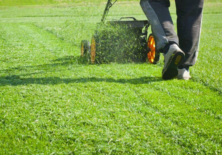 HydroGreen Lawn Services | 63 View St, Glenroy VIC 3046, Australia | Phone: 0480 297 315