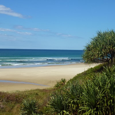 Dunes on Shelly Beach | lodging | 70 Shelly Beach Rd, East Ballina NSW 2478, Australia | 0266869014 OR +61 2 6686 9014