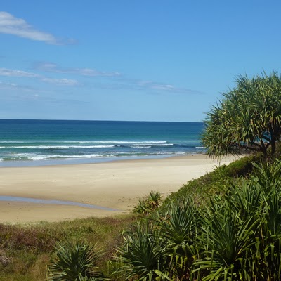 Dunes on Shelly Beach | 70 Shelly Beach Rd, East Ballina NSW 2478, Australia | Phone: (02) 6686 9014