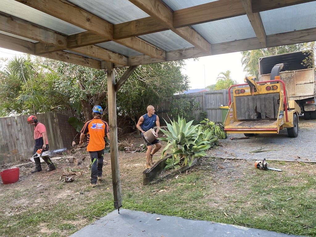 Jungle Jess Pty Ltd | 50 Garlinge Ct, Bonogin QLD 4213, Australia | Phone: 0480 473 902