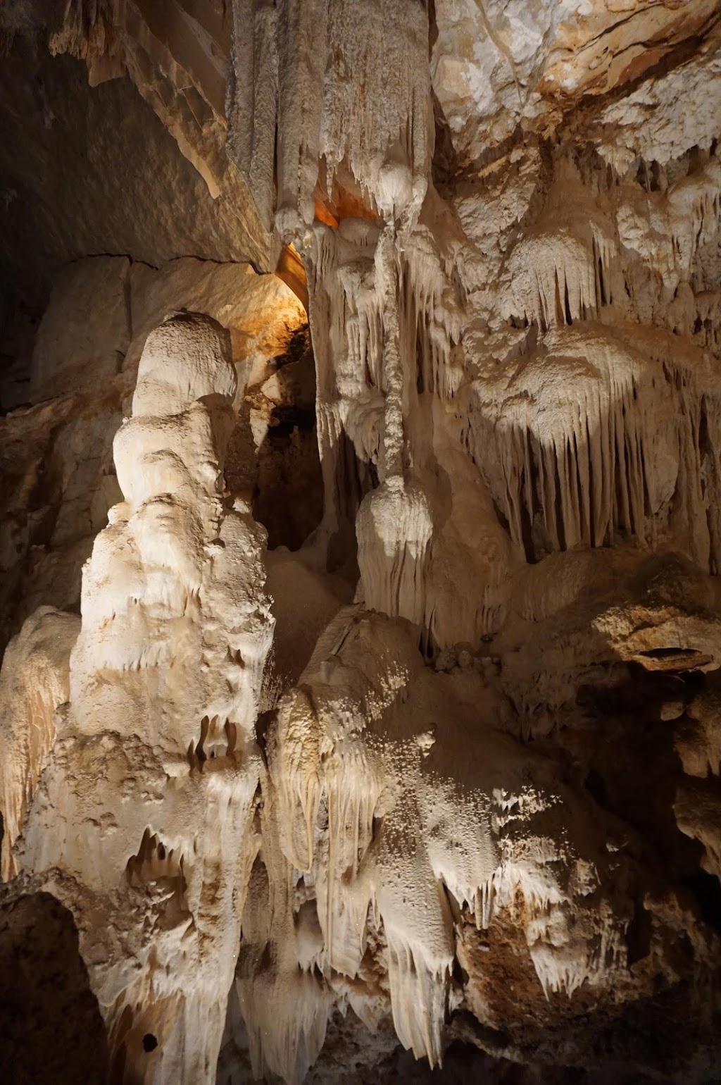 Fig Tree Cave | tourist attraction | Caves Track, Wombeyan Caves NSW 2580, Australia | 0248435976 OR +61 2 4843 5976