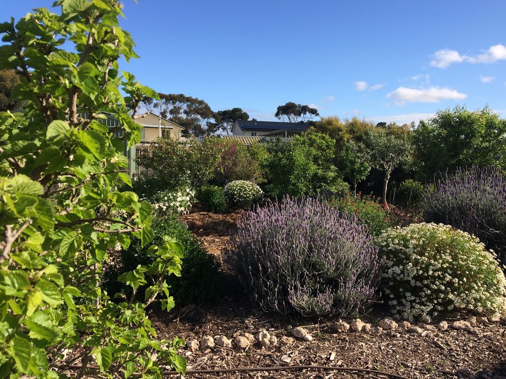 Down to Earth Permaculture | 5 Dalrymple Terrace, Stansbury SA 5582, Australia | Phone: 0438 826 523