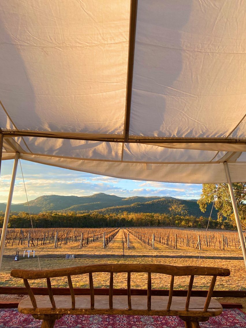 Seventh Wines | 695 Bents Rd, Ballandean QLD 4382, Australia | Phone: 0402 667 700