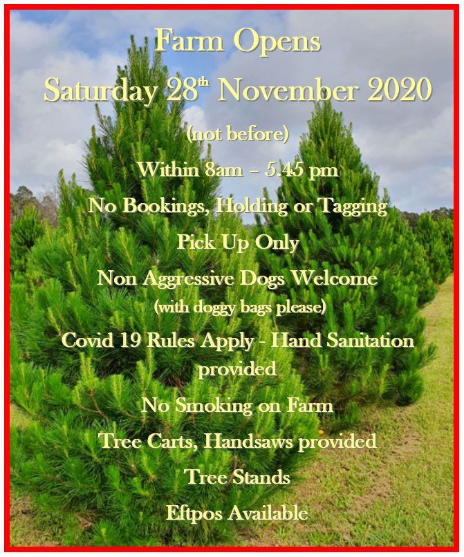 Parma Christmas Tree Farm |  | 751 Parma Rd, Parma NSW 2540, Australia | 0417684001 OR +61 417 684 001