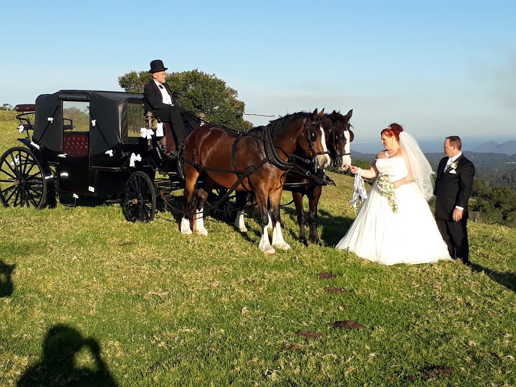 Sunshine Carriages |  | 30 Heilbronn Rd, Jones Hill QLD 4570, Australia | 0754823358 OR +61 7 5482 3358