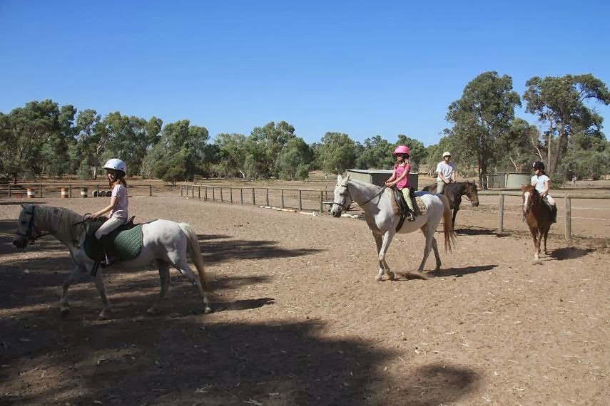 Forge Farm Riding School | 1830 Forge Dr, Chidlow WA 6556, Australia | Phone: 0452 581 183