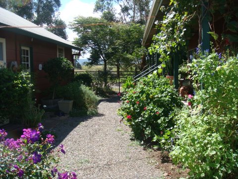 Purple Pear Farm | 131 Anambah Rd, Anambah NSW 2320, Australia | Phone: 0403 698 126