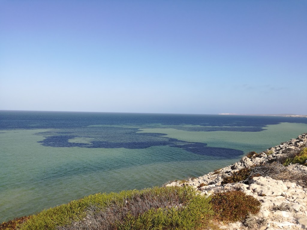 The Whalebone Camp Site | Whalebone Rd, Francois Peron Natl Park WA 6537, Australia | Phone: (08) 9948 2226