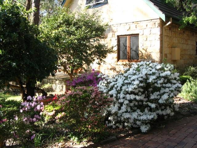 Rose Lindsay Cottage | lodging | 113 Chapman Parade, Faulconbridge NSW 2776, Australia | 0247514273 OR +61 2 4751 4273