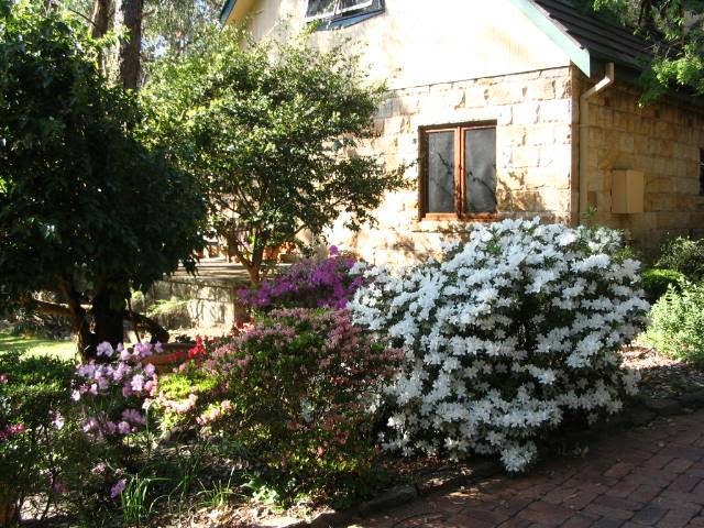 Rose Lindsay Cottage | 113 Chapman Parade, Faulconbridge NSW 2776, Australia | Phone: (02) 4751 4273