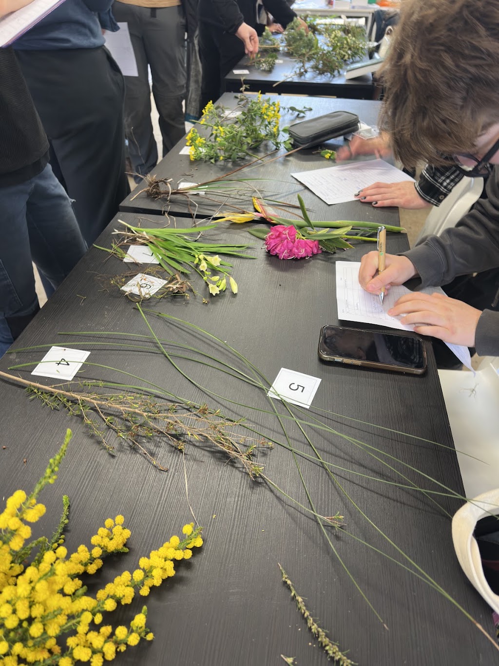 Ecoskills | 52 Western Port Hwy, Somerville VIC 3912, Australia | Phone: 0436 969 883