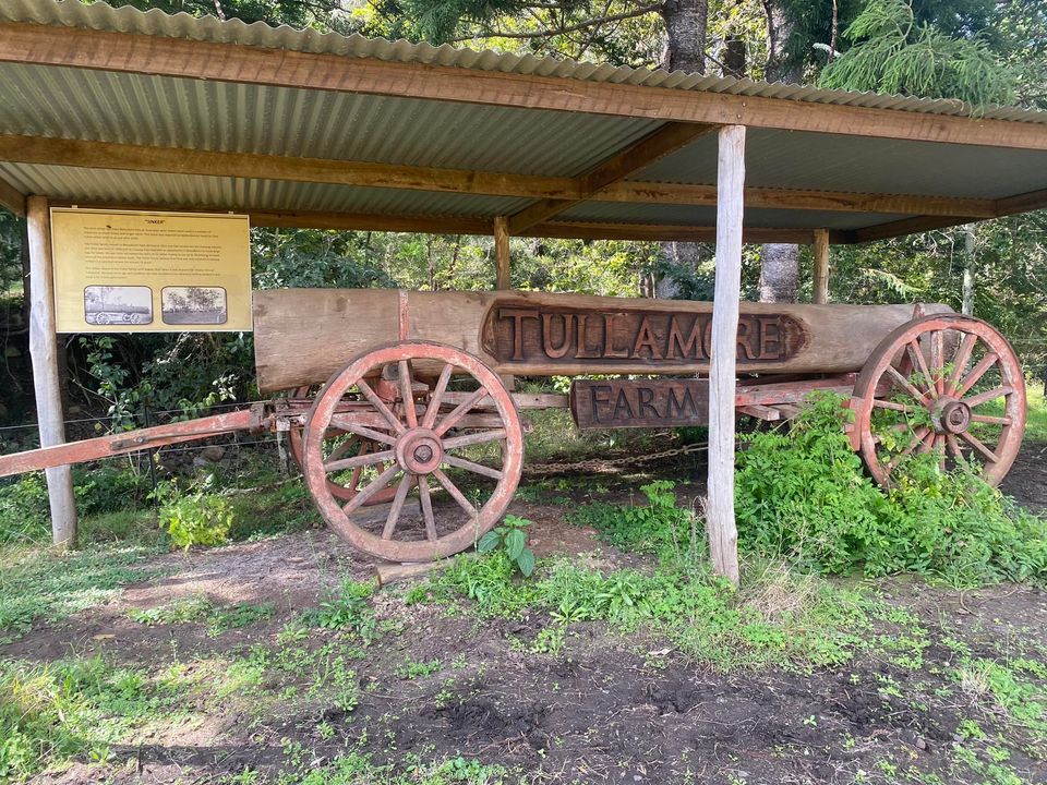 Tullamore Farm | Duck Creek Rd, Kerry QLD 4285, Australia | Phone: 0407 516 220