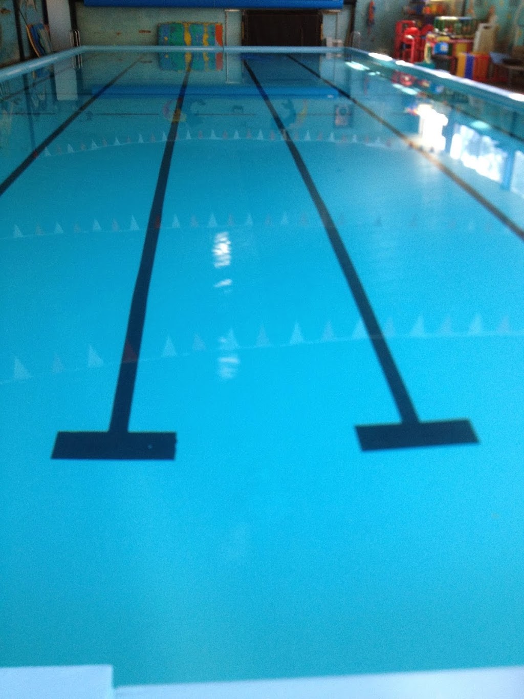 Van Dyks Swimming Academy | health | 241 Para Rd, Greensborough VIC 3088, Australia | 0394356955 OR +61 3 9435 6955