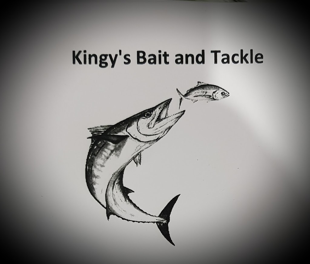 Kingys Bait and Tackle | store | 224 Fullerton St, Stockton NSW 2295, Australia
