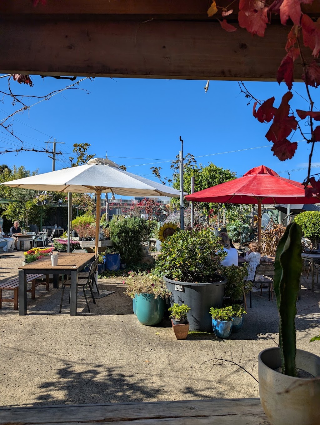 Poppies Anglesea | 1 Simmons Ct, Anglesea VIC 3230, Australia | Phone: (03) 5203 5785