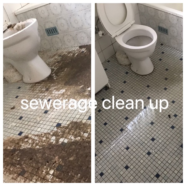 Always Fresh Carpet Cleaning Sydney | 14/3 Kelso Cres, Moorebank NSW 2171, Australia | Phone: 1300 388 837