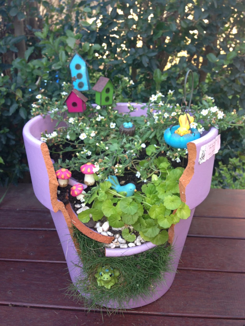 Fairy Gardens Australia | ONLINE ONLY QLD, 9 Jerrys Place, Thornlands QLD 4164, Australia | Phone: 0400 469 699