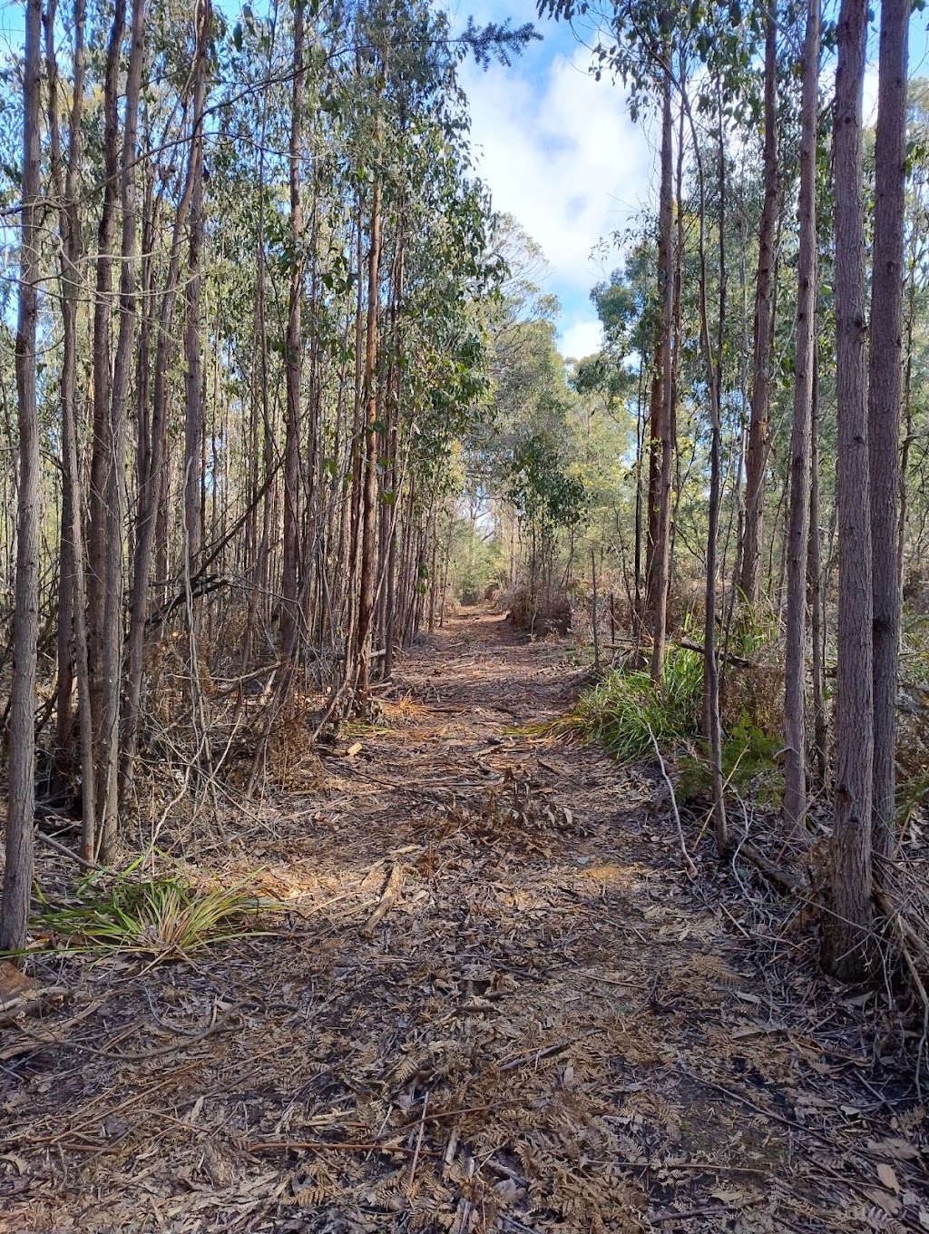 Valhalla Camping and Caravan Park | Valhalla, 21 Craigs Hill Rd, Boomer Bay TAS 7177, Australia | Phone: 0480 766 421 Valhalla Camping and Caravan Park | Valhalla, 21 Craigs Hill Rd, Boomer Bay TAS 7177, Australia | Phone: 0480 766 421