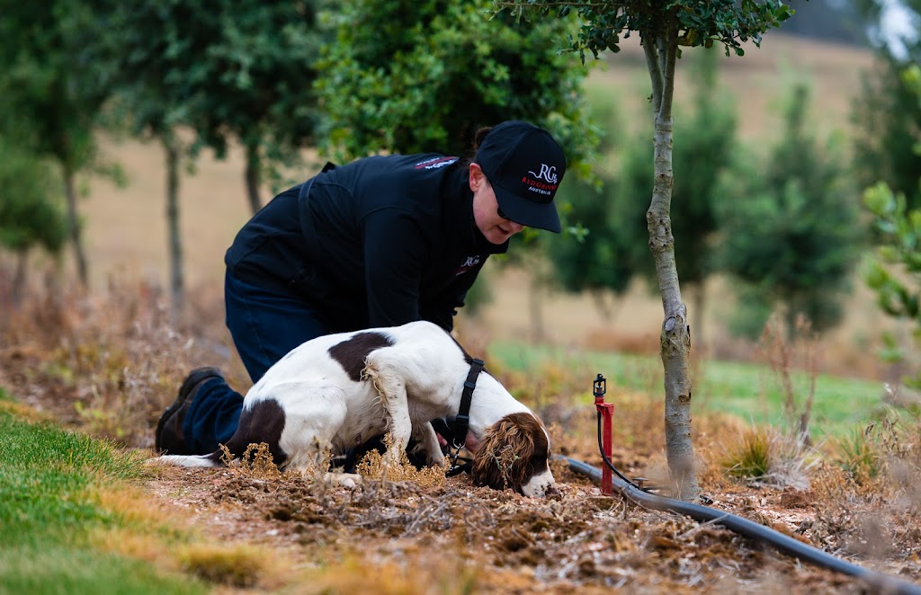 RedGround Truffles | 264 Titania Rd, Oberon NSW 2787, Australia | Phone: 0457 775 297