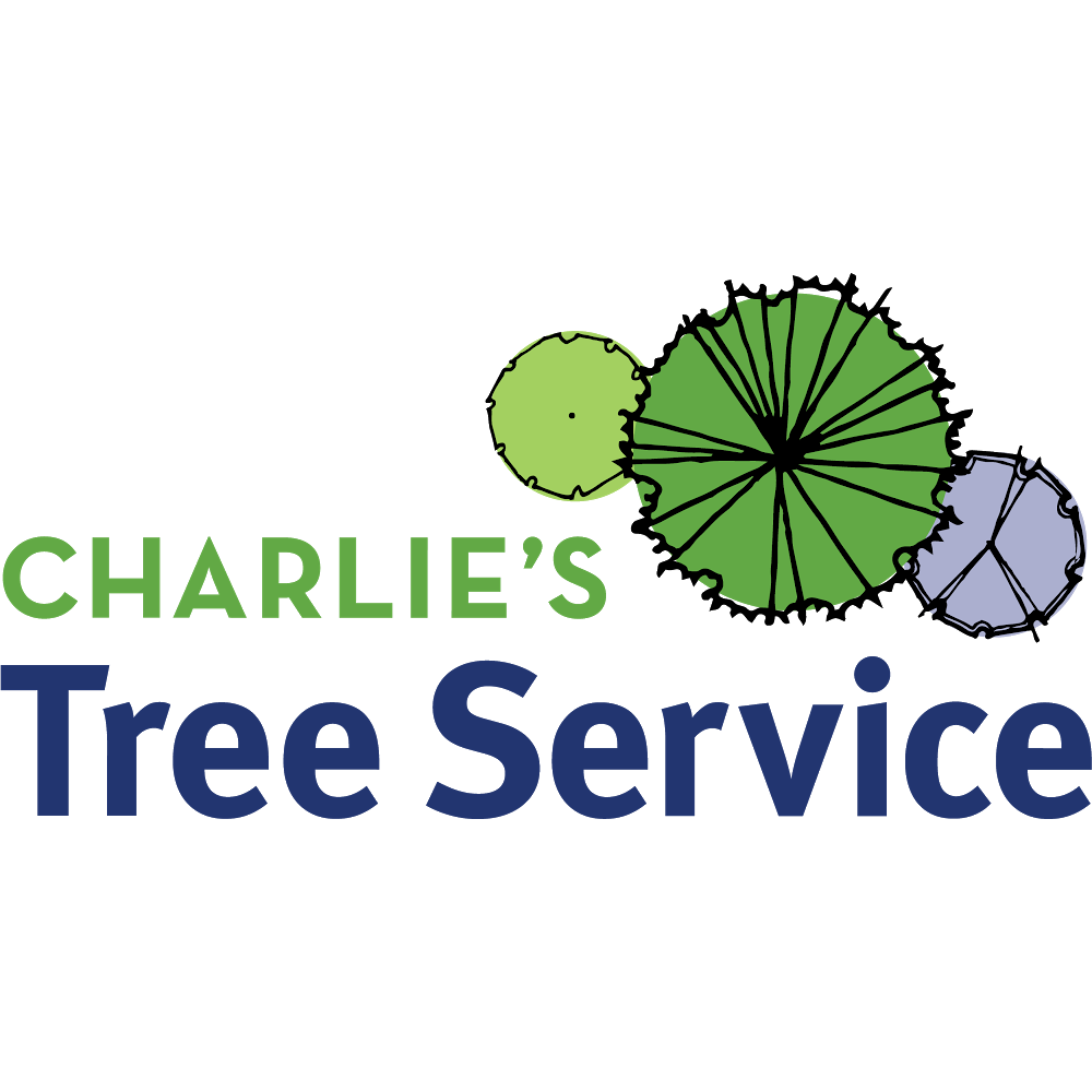 Charlie’s Tree Service | 731 Leslie Rd, Leslie Vale TAS 7054, Australia | Phone: 0428 246 211