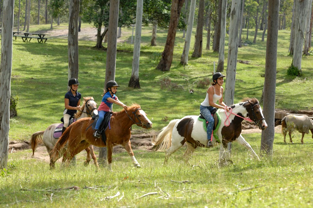 Slickers Horse Riding | 116 Dunlop Ln, Kurwongbah QLD 4503, Australia | Phone: (07) 3285 1444