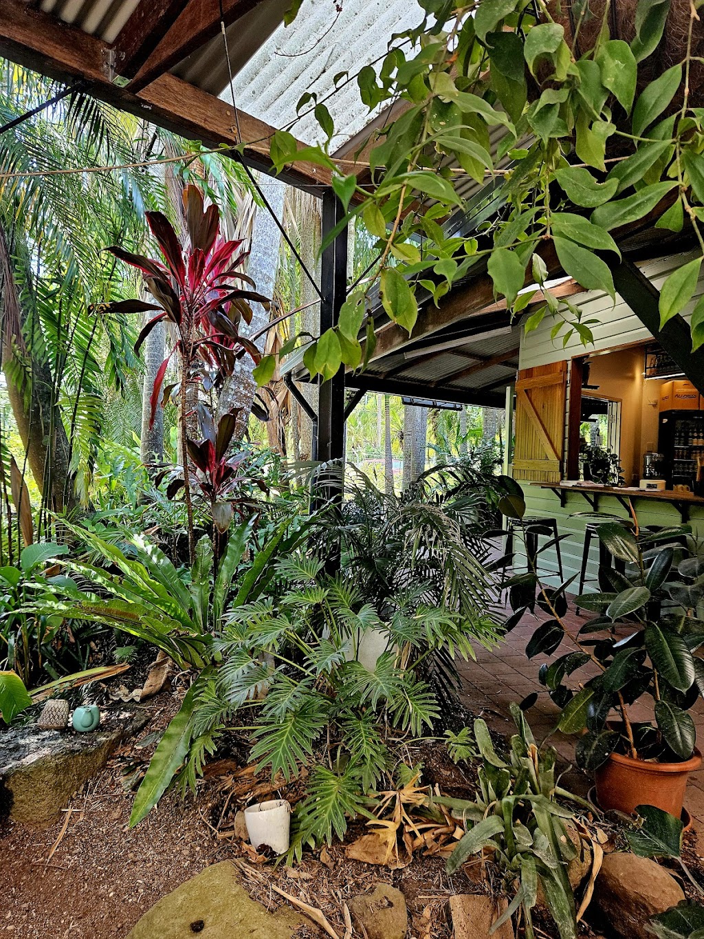 Tayzies | 2530 Coolamon Scenic Dr, Mullumbimby NSW 2482, Australia | Phone: 0485 683 760