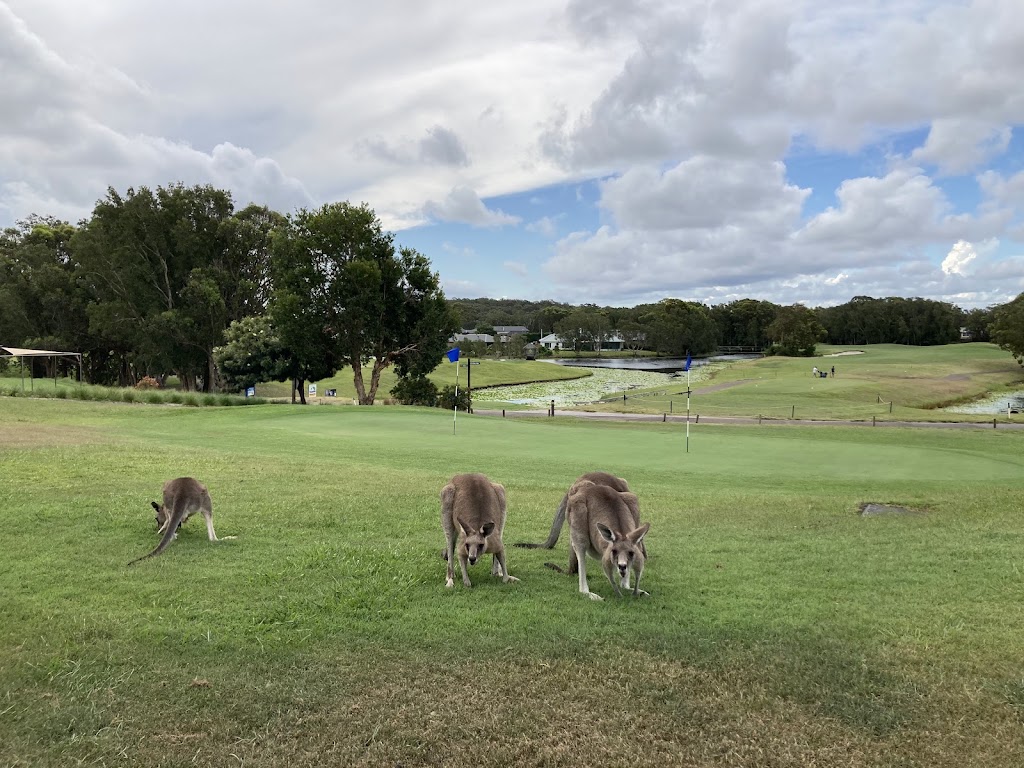 CaddyShack Apartment at Horizons | Unit 110/31 Horizons Dr, Salamander Bay NSW 2317, Australia | Phone: 0416 198 345