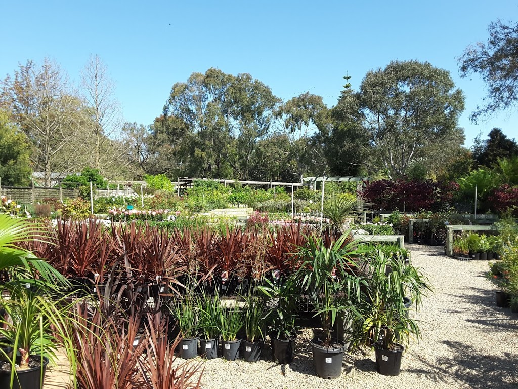 Wholesale Plants Direct | 640 Cranbourne-Frankston Rd, Cranbourne South VIC 3977, Australia | Phone: 0426 966 057