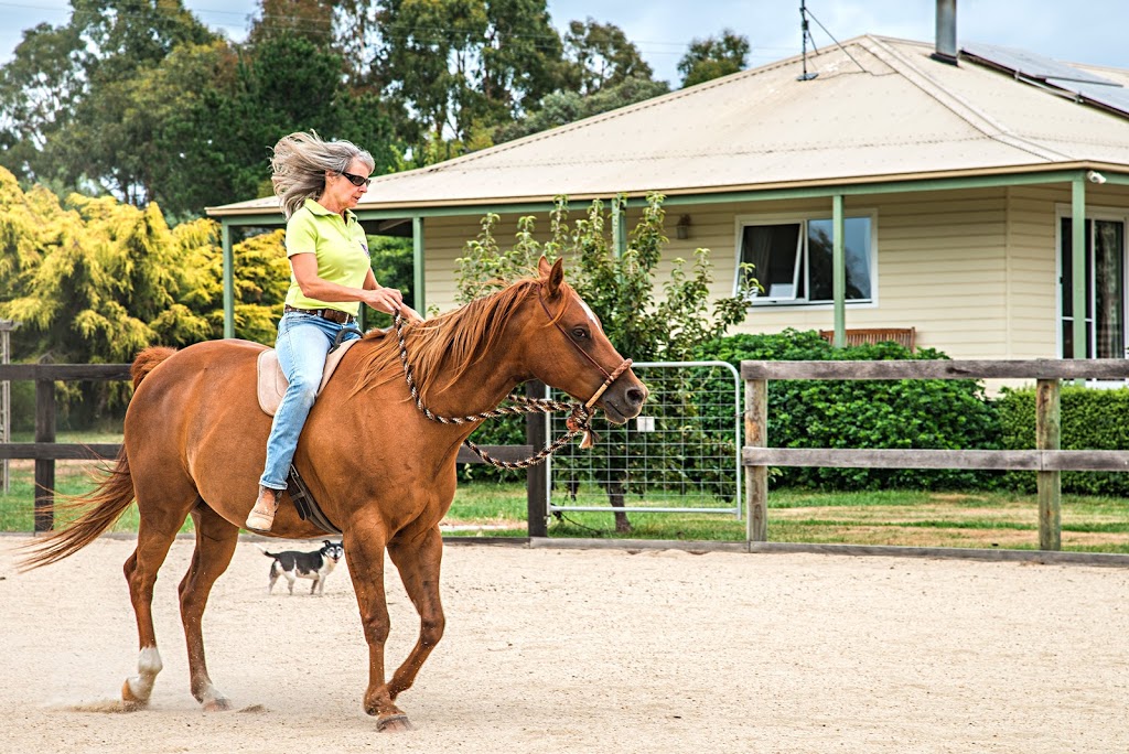 Ranges Animal Biomechanical Medicine | 66 Wisemans Ln, Newham VIC 3442, Australia | Phone: 0459 055 245