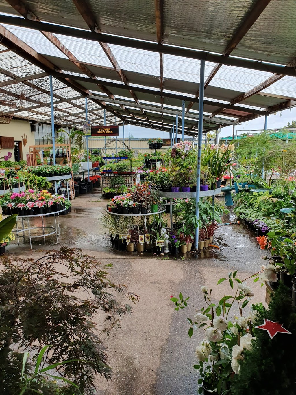 Allans Garden Centre | store | 285 Westbury Rd, Launceston TAS 7250, Australia | 0363446257 OR +61 3 6344 6257