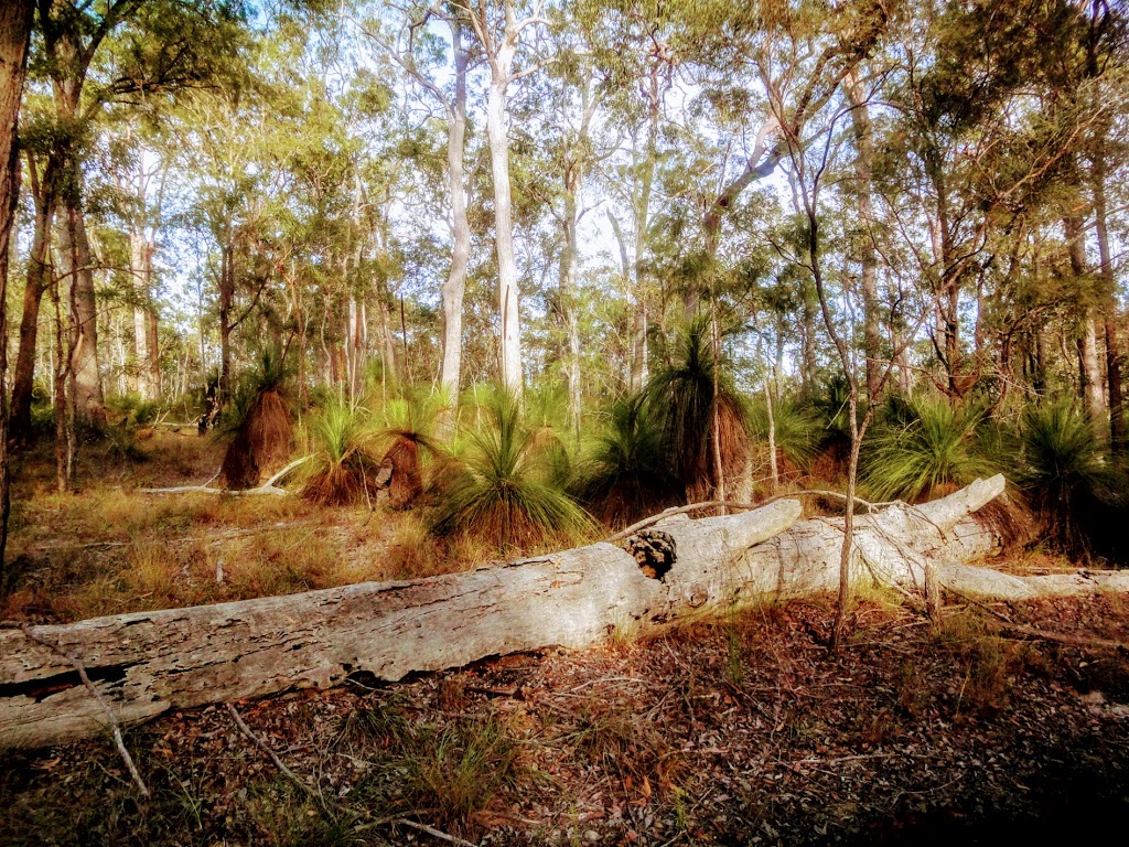 King Conservation Park | park | Glastonbury QLD 4570, Australia