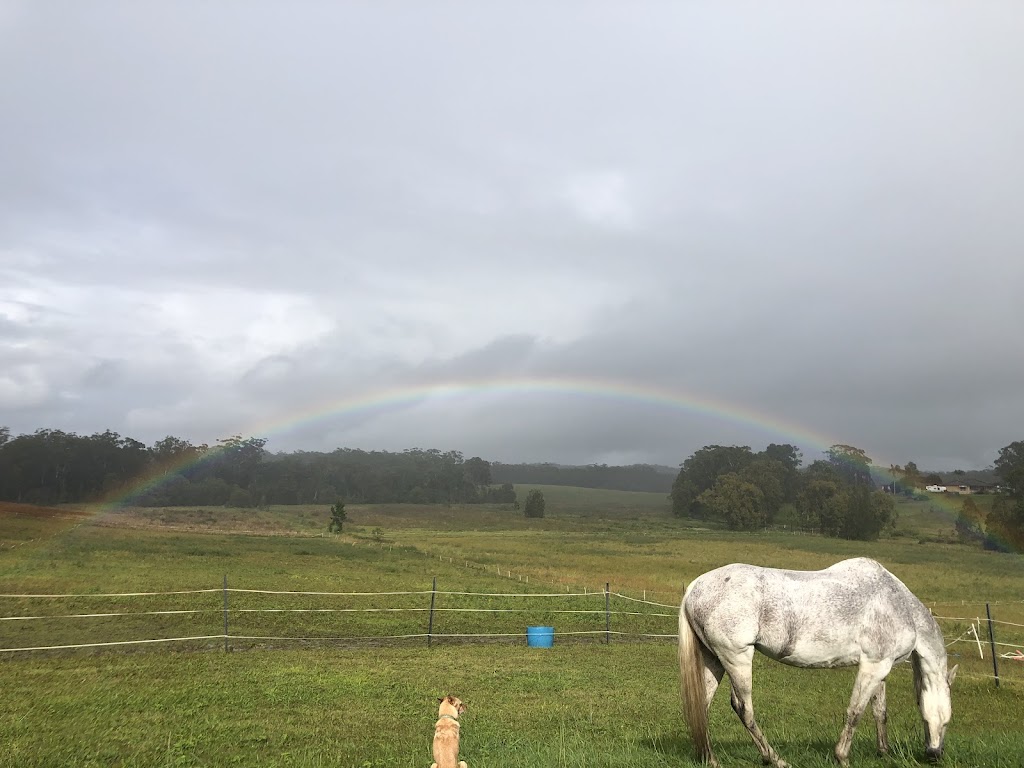 Finding Clarity Equine Assisted Therapy | Old Bagotville Rd, Bagotville NSW 2477, Australia | Phone: 0420 904 503