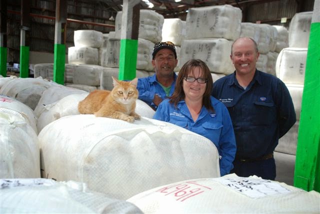 Monaro Wool Services | 54/56 Polo Flat Rd, Cooma NSW 2630, Australia | Phone: (02) 6452 4494