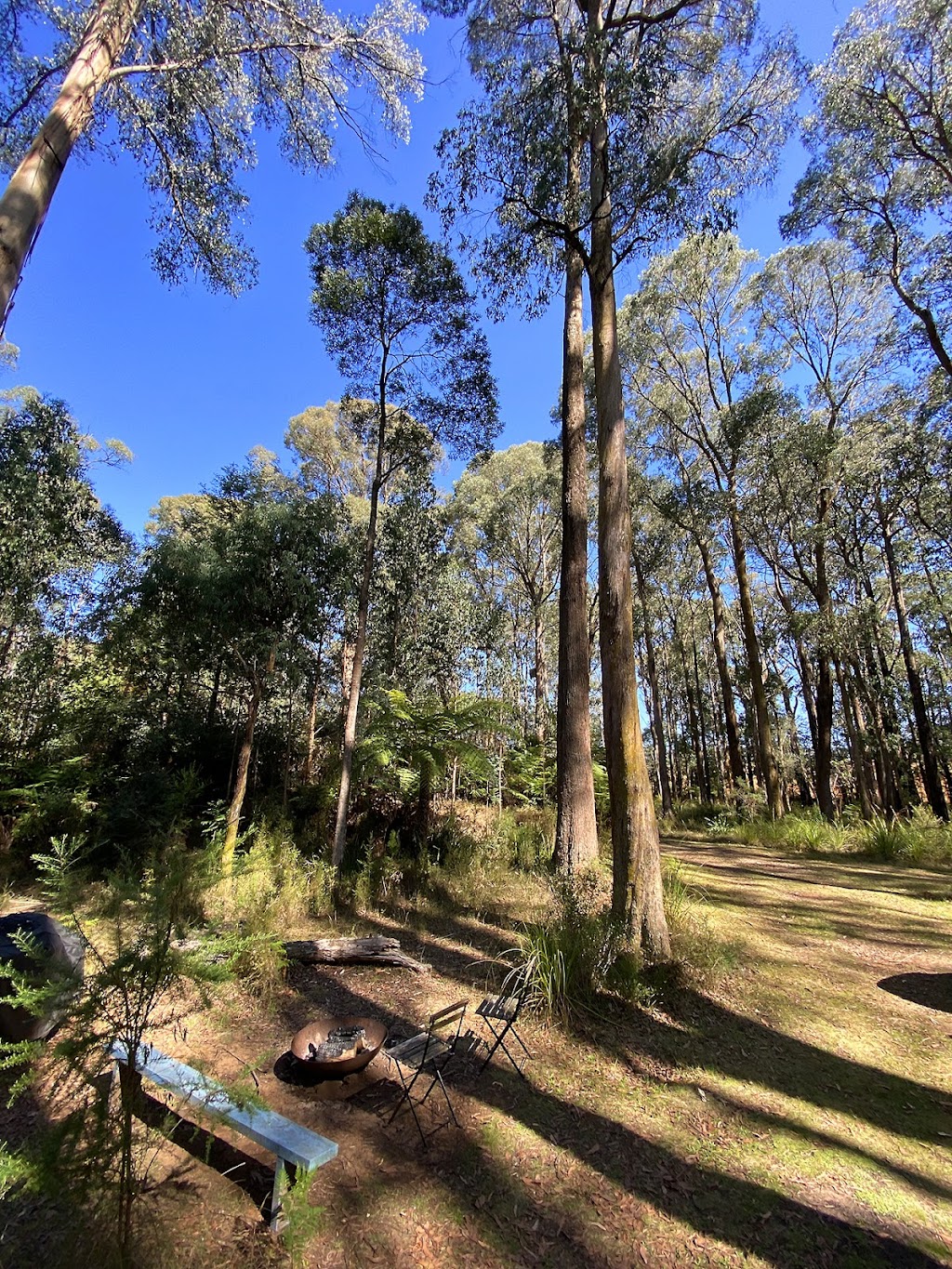 Quantum Field Tiny House Yarra Valley by Tiny Away | 2/1870 Healesville-Kinglake Rd, Toolangi VIC 3777, Australia | Phone: (03) 7003 2974