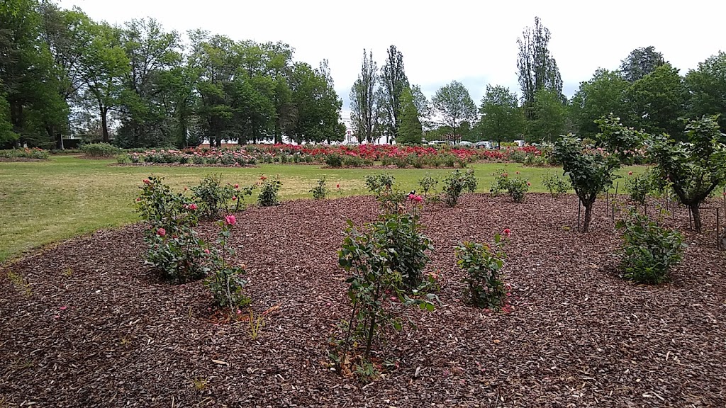 Parliamentary Lawn Rose Garden | Parkes ACT 2600, Australia