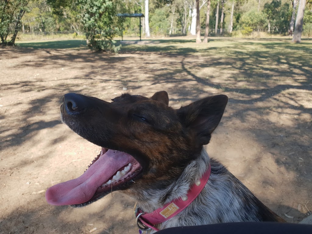 Bennett Drive Dog Off Leash Area | 31 Bennett Dr, Regents Park QLD 4118, Australia