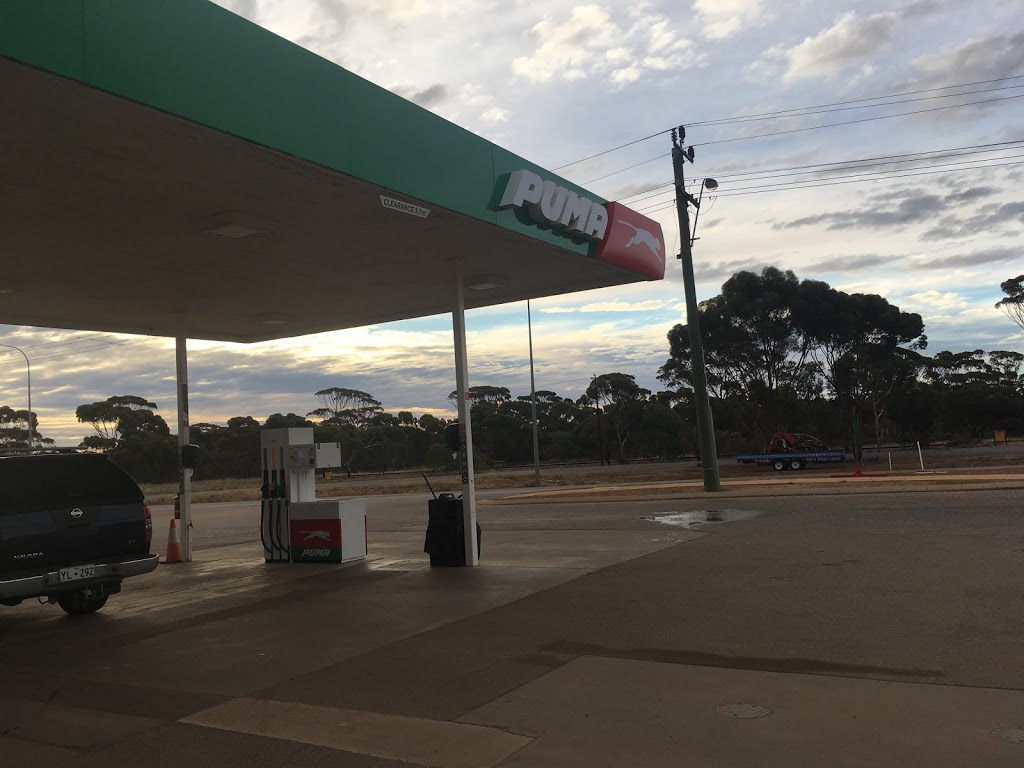 Puma Merredin Roadhouse | gas station | Lot 12 Todd St, Merredin WA 6415, Australia | 0890411982 OR +61 8 9041 1982
