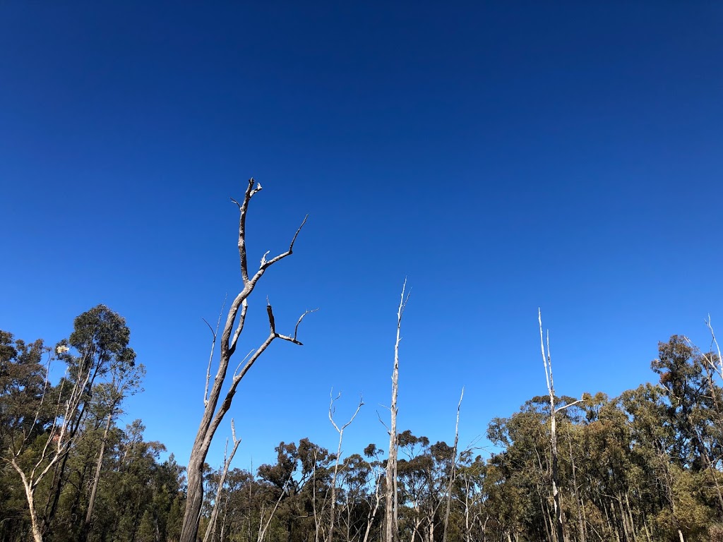 Beni Cca Zone 3 State Conservation Area | Dubbo NSW 2830, Australia