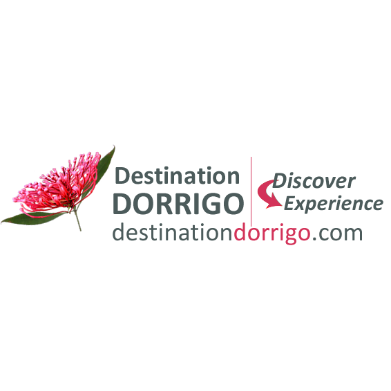 Dorrigo Trout Fishing Dorrigo Site 4 |  | Whisky Creek Rd, Dorrigo NSW 2453, Australia | 0266575388 OR +61 2 6657 5388