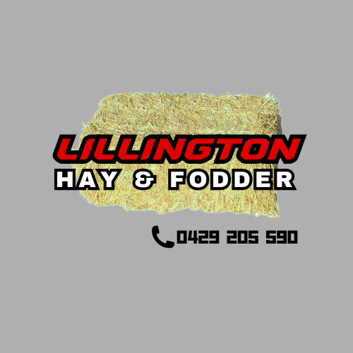 Lillington Hay and Fodder | 252 Bethel Rd, Burrumbuttock NSW 2642, Australia | Phone: 0429 205 590