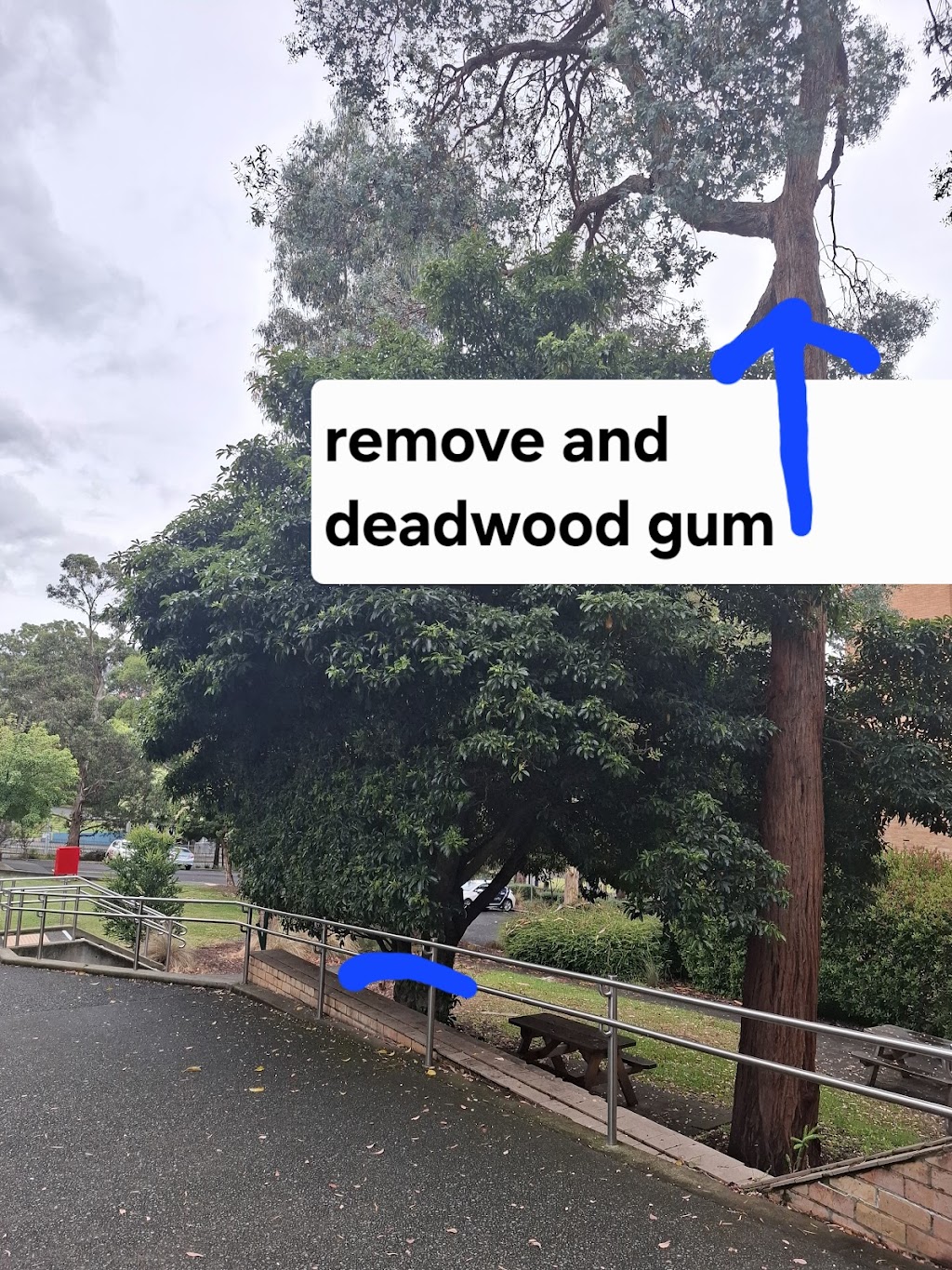 RRR Trees and Excavations | 37 Lachlan Ct, Brighton TAS 7030, Australia | Phone: 0407 291 879