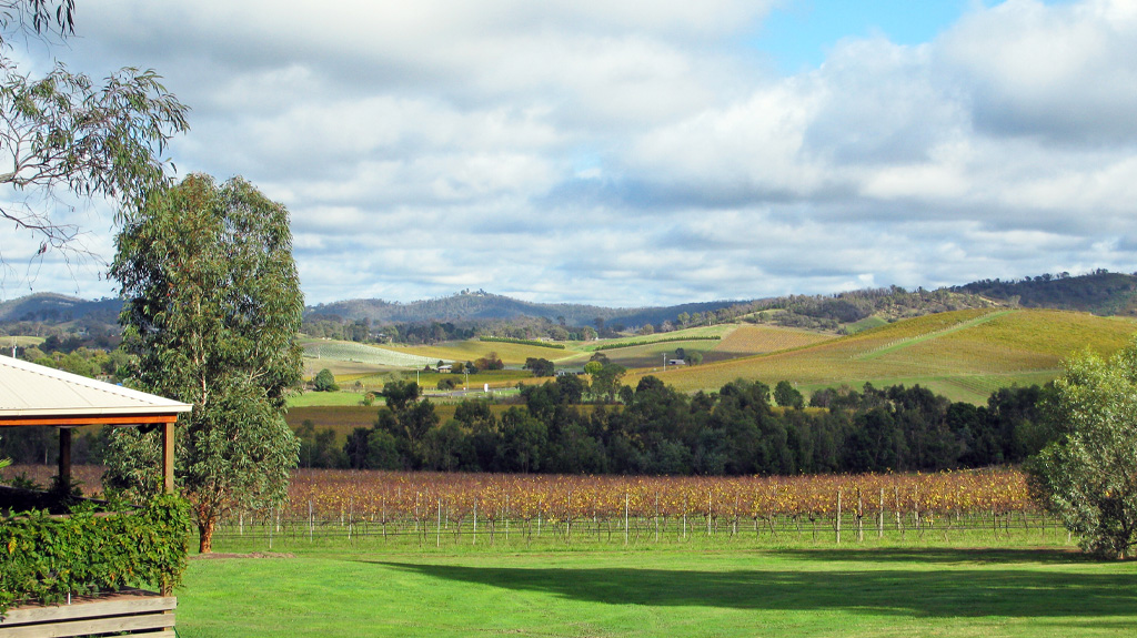 Yarra Valley Cooking School | 910 Old Toolangi Rd, Dixons Creek VIC 3775, Australia | Phone: (03) 5965 2585